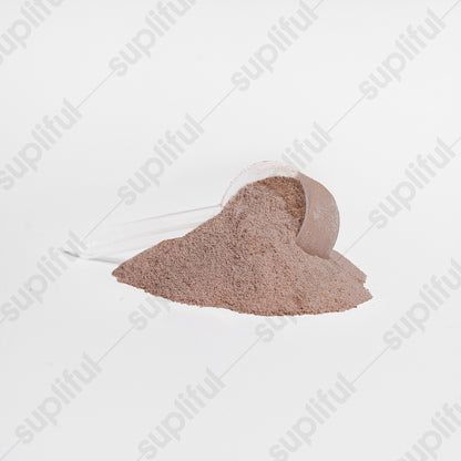 ADVANCED 100/100 Whey Protein Chocolate